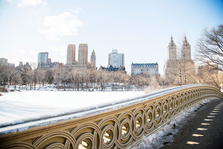 Bow-Bridge-Central-Park-New-York-City-by-Ylenia-Cuellar