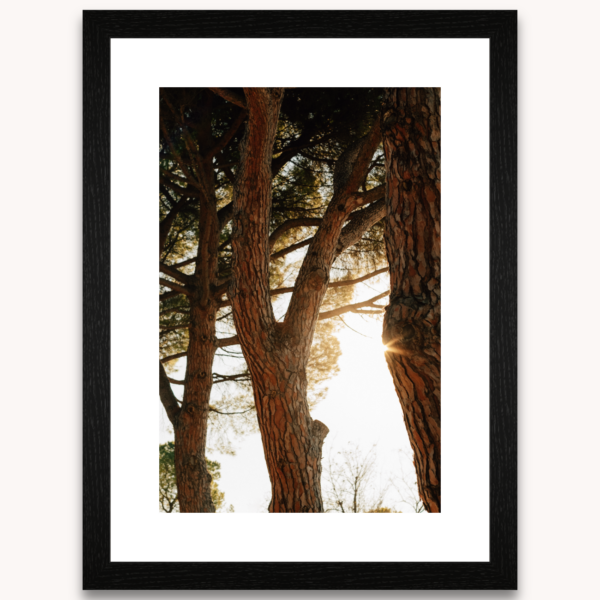 Photography titled "Albore" in a black wooden frame, by photographer Ylenia Cuéllar