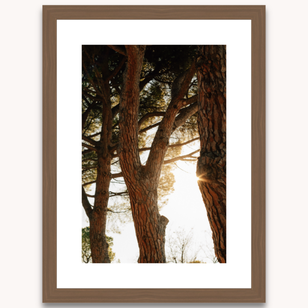 Photography titled "Albore" in a natural wooden wooden frame, by photographer Ylenia Cuéllar