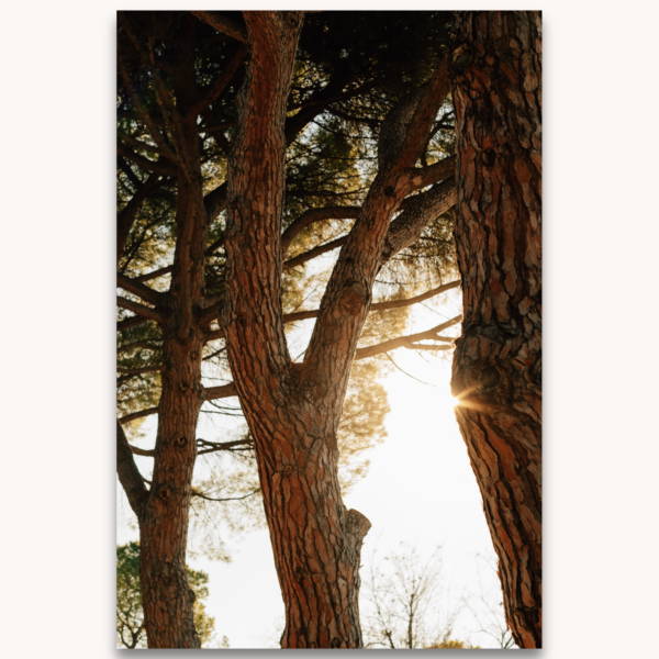 Photography titled "Albore", by photographer Ylenia Cuéllar