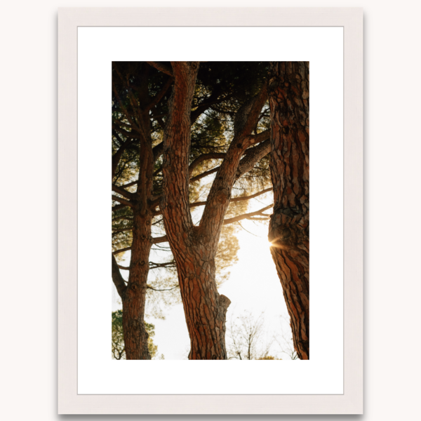 Photography titled "Albore" in a white wooden frame, by photographer Ylenia Cuéllar