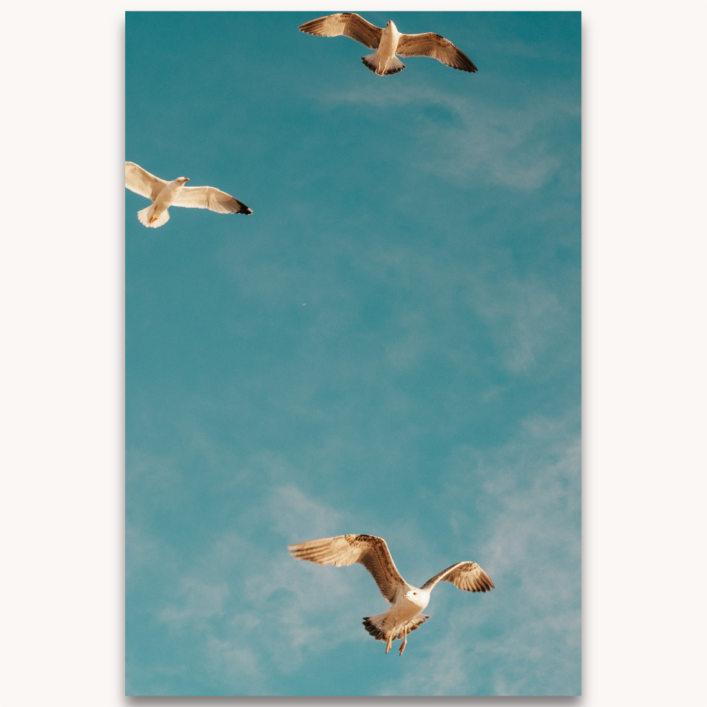 Photography titled "Azur", by photographer Ylenia Cuéllar