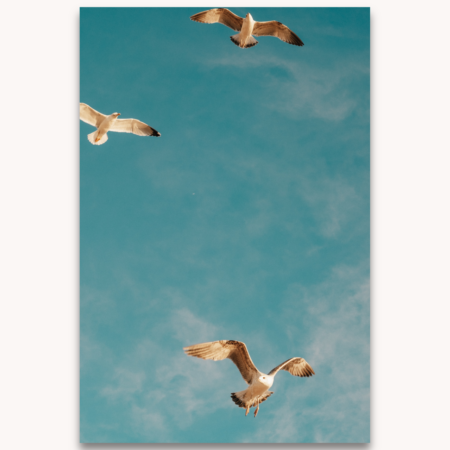 Photography titled "Azur", by photographer Ylenia Cuéllar