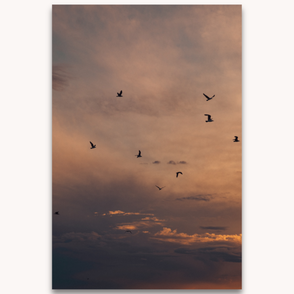 Photography titled "Ímpetu", by photographer Ylenia Cuéllar